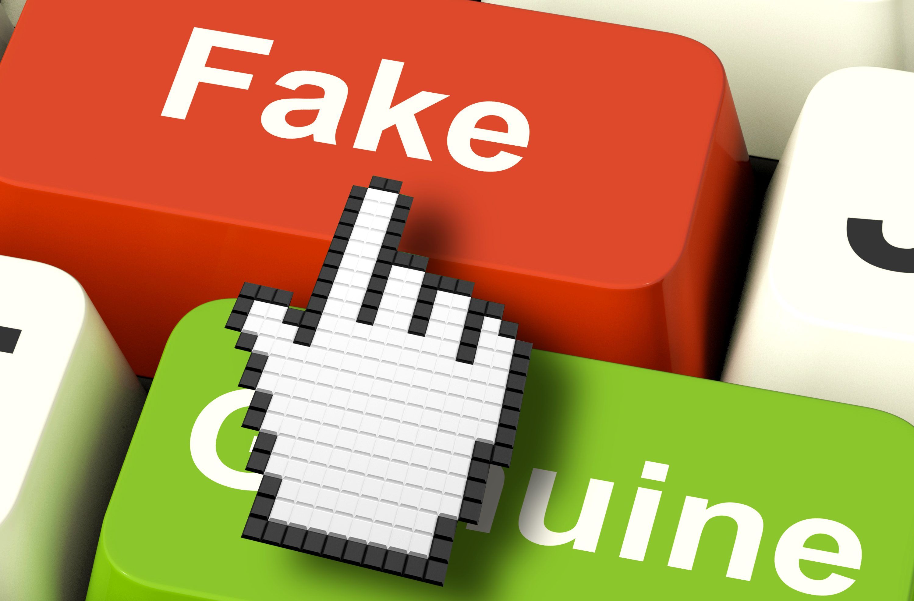Su internet sta diventando tutto fake?