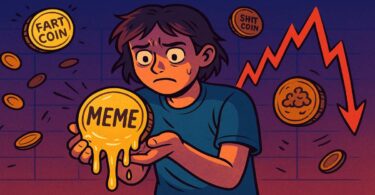 MEME COIN: PERCHÉ I TUOI SOLDI POSSONO VOLARE VIA IN UN ATTIMO