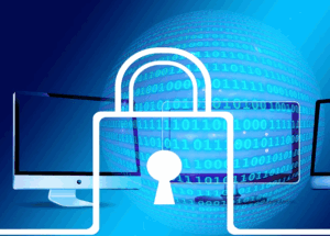 servizi informatica legale